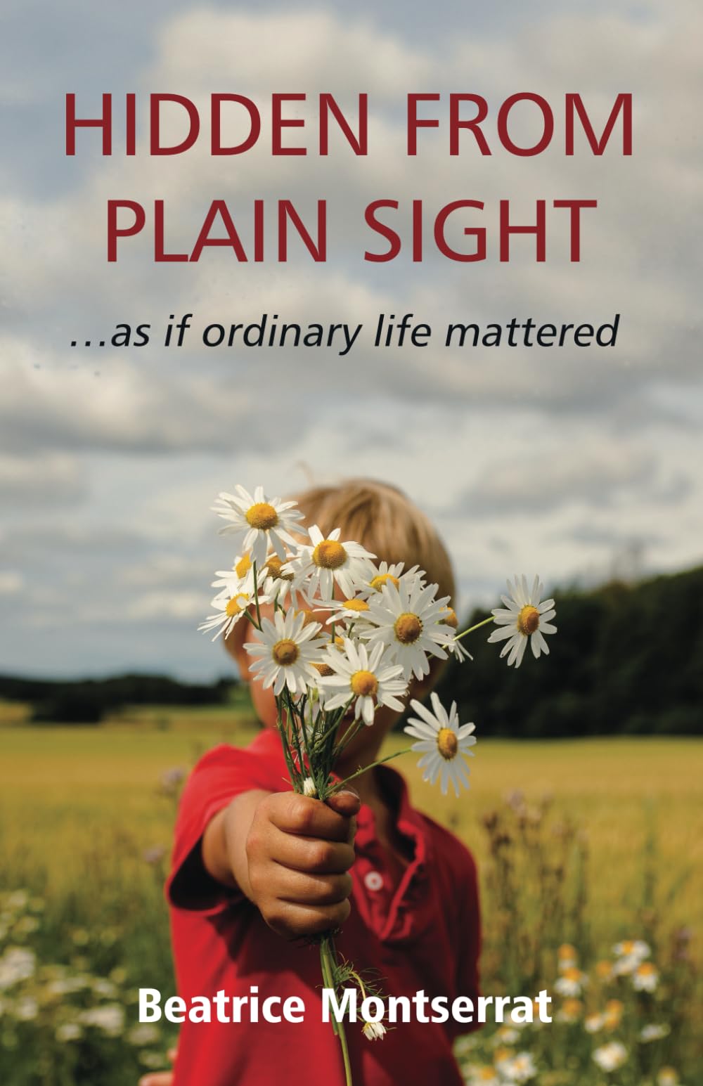 HIDDEN FROM PLAIN SIGHT … as if ordinary life mattered