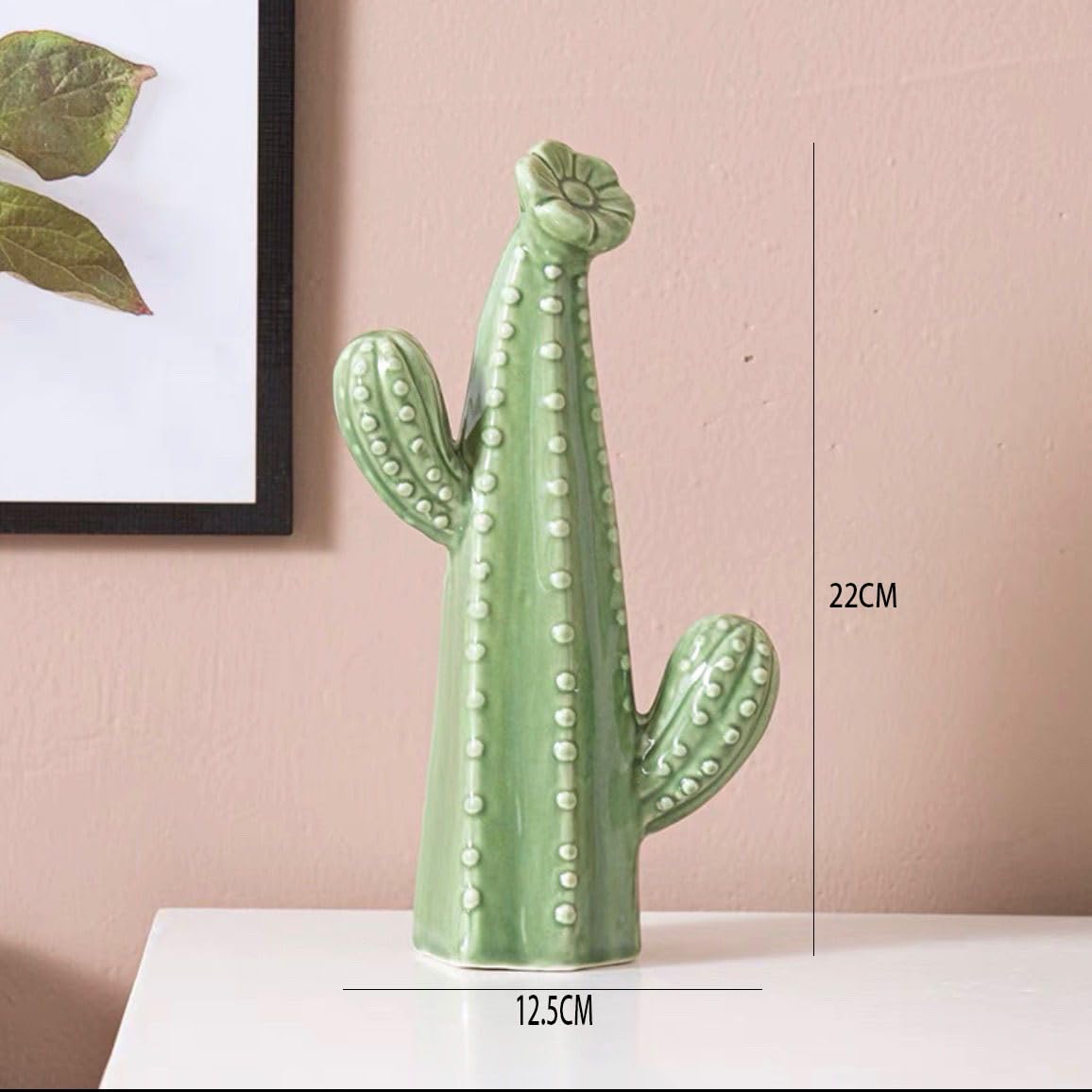 mammillaria nivosa Mammillaria nivosa