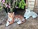 Large Pair of Raja The Royal Bengal Tiger And Ghost The Siberian White Tiger 15.5" Long Statues Jungle Apex Predator Home Garden Outdoor Patio Decor Figurines