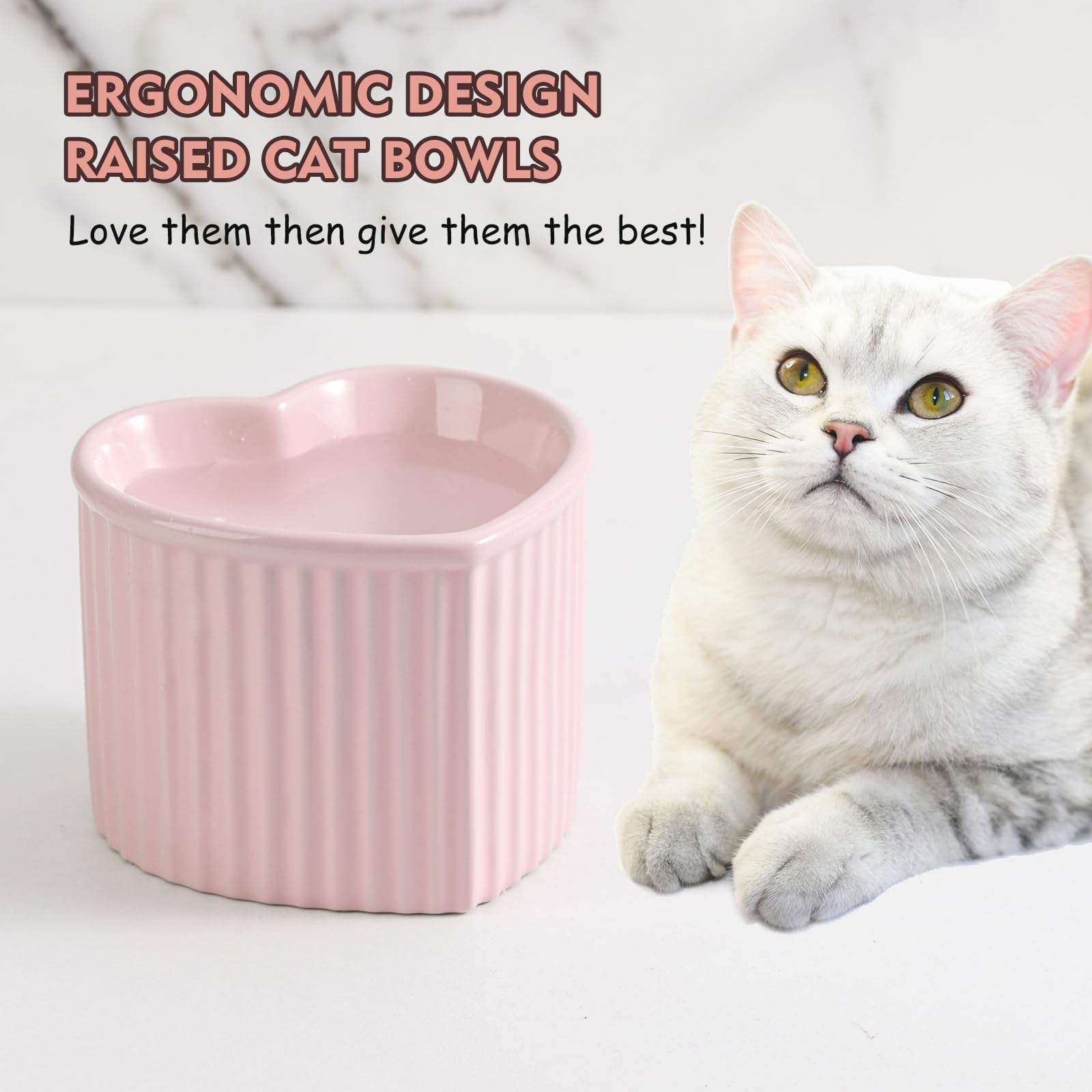 Raised Ceramic Cat Water Bowl - Elevated Cat Food Dish Anti Vomiting - Stress Free Tall Cat Feeding Bowls - Wide Cat Bowl Whisker Friendly - Microwave and Dishwasher Safe - 5.5 inch - 7.2 oz - 340 ml