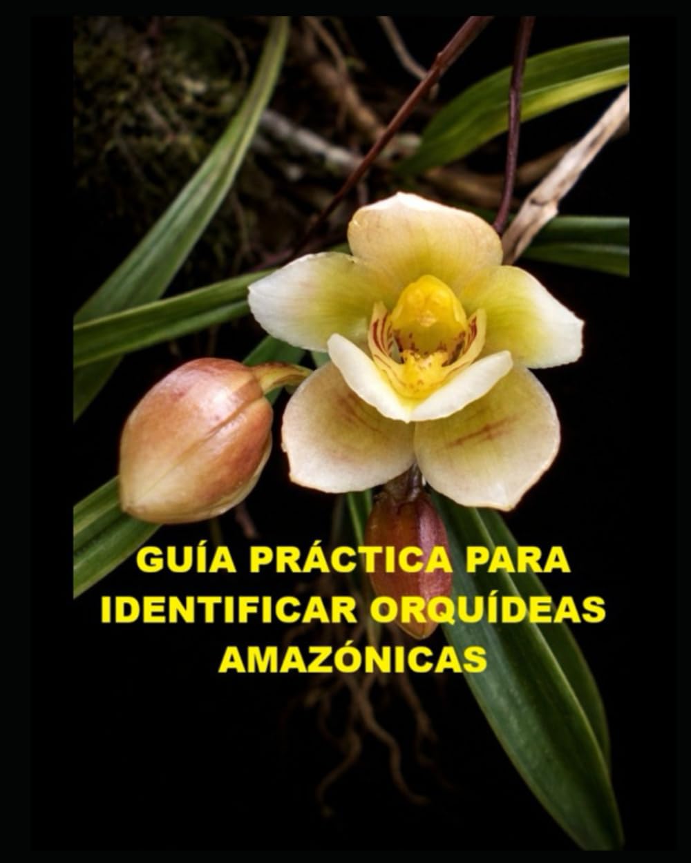 GUÍA PRÁCTICA PARA IDENTIFICAR ORQUÍDEAS AMAZÓNICAS