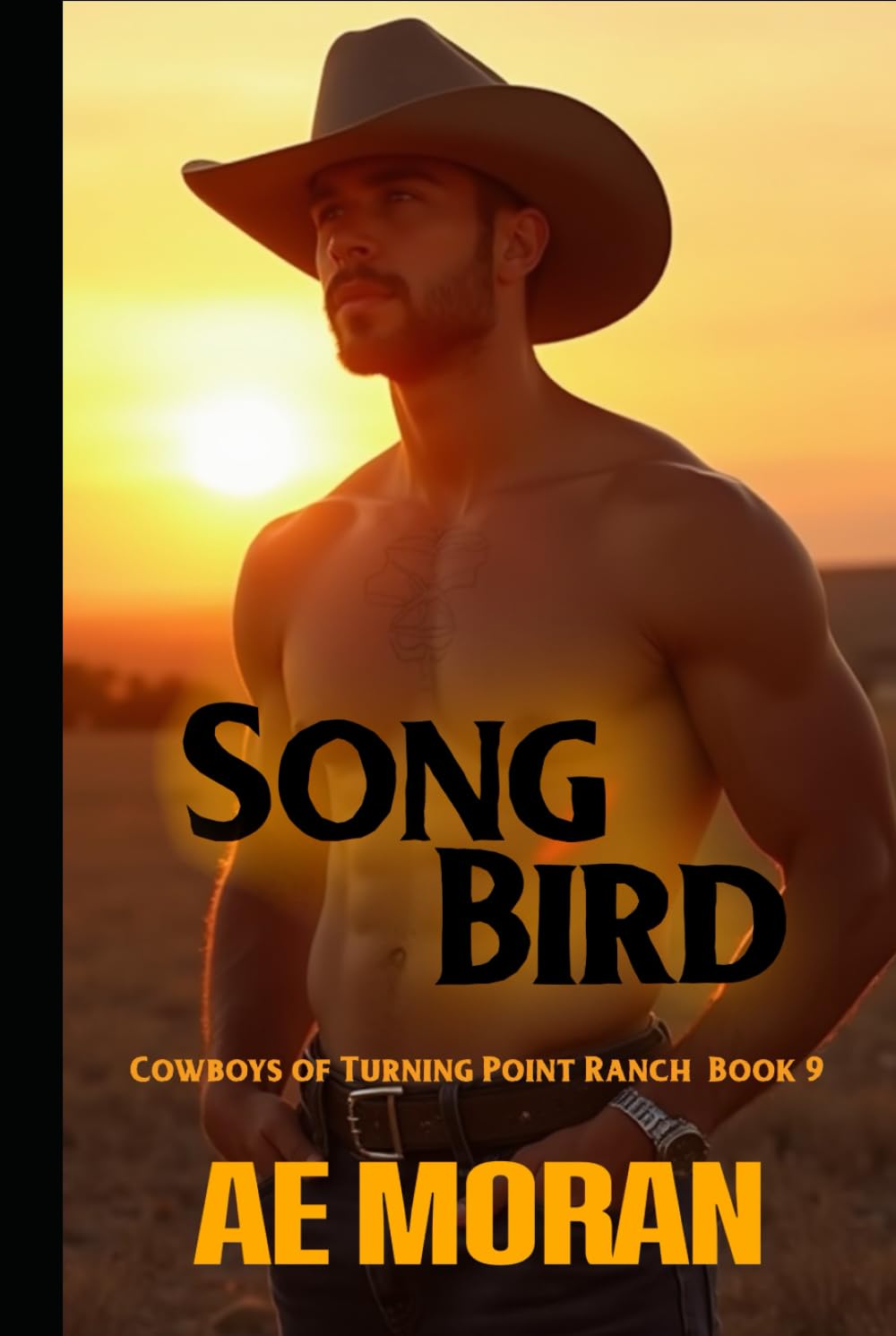 Song Bird: A Steamy Cowboy Western Alpha Male Workplace Contemporary Romance (Cowboys of Turning Point Ranch Series)