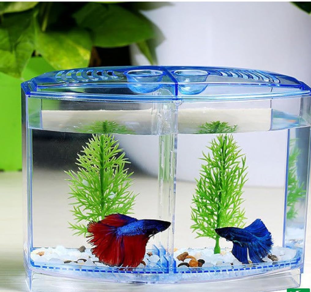 AQUAPETZWORLD Acrylic Small Mini Fish Betta Double House Fish Breeding Box Tank Hatchery Incubator Aquarium Isolation Box for Baby Shrimp Guppy PLANTS INCLUDED. (B08WRW5TSB) Amazon Price History, Amazon Price Tracker