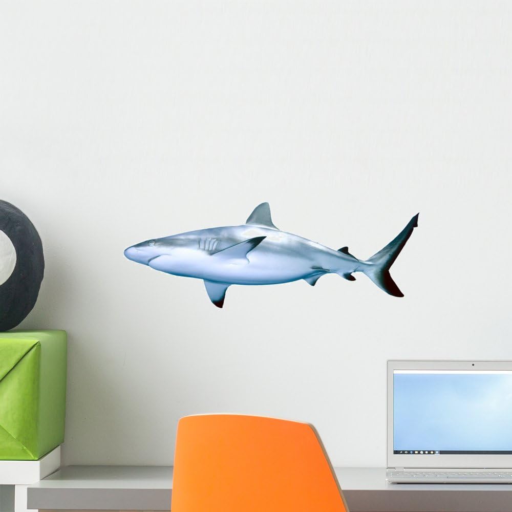Wallmonkeys Shark Wall Decal Peel and Stick Graphic WM161067 (18 in W x 12 in H)