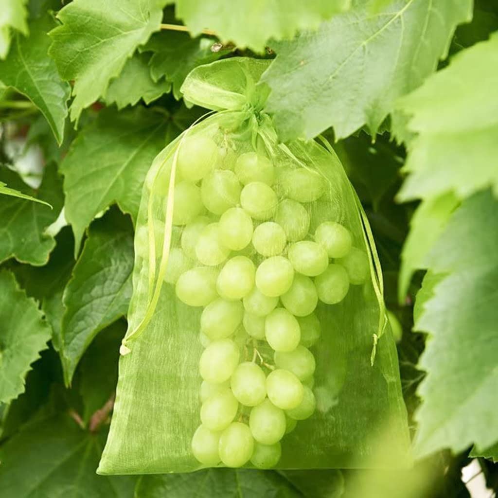 Bolsas de Malla para Frutas, Bolsas de Cultivo for Verduras y Frutas (50 Unidades), for Plantas, Uvas, protección, Red con cordón, Malla de Maquillaje.(100pcs 10 X 12cm)