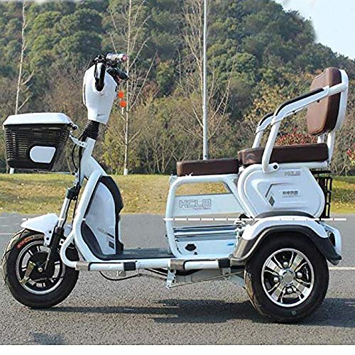 Buy Joyfitness Electric 3 Wheel Bicycle,Electric Scooter,Adult Outdoor