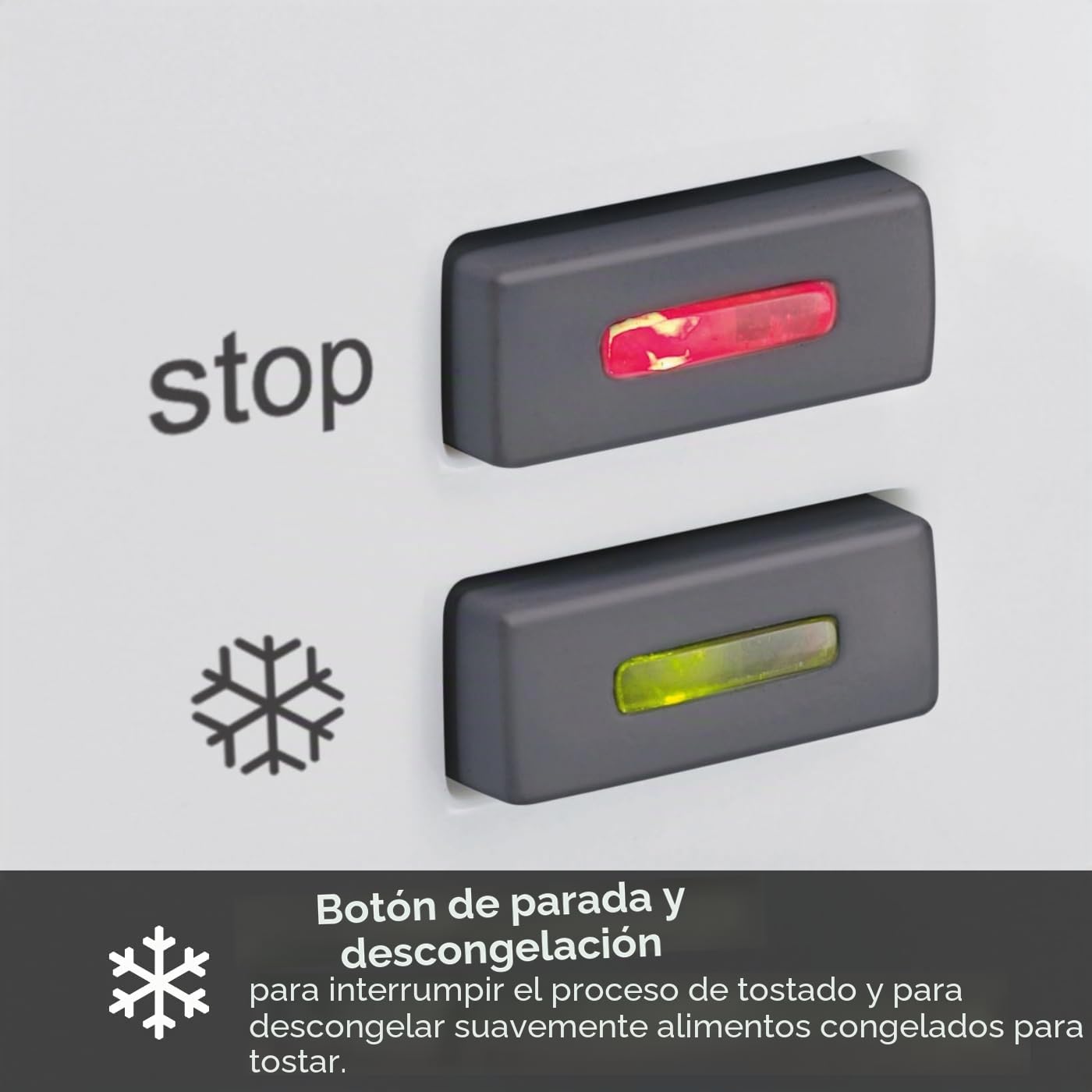 GRAEF Tostadora TO61 blanca, 2 rebanadas, centrado, accesorio panecillos, tostado ajustable, recogemigas, parada, descongelación
