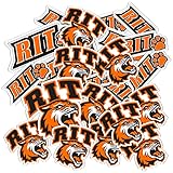 Desert Cactus Rochester Institute of Technology Sticker RIT Tigers Vinyl Decal Laptop Water Bottle Car Scrapbook Sheet (Type 1-1)