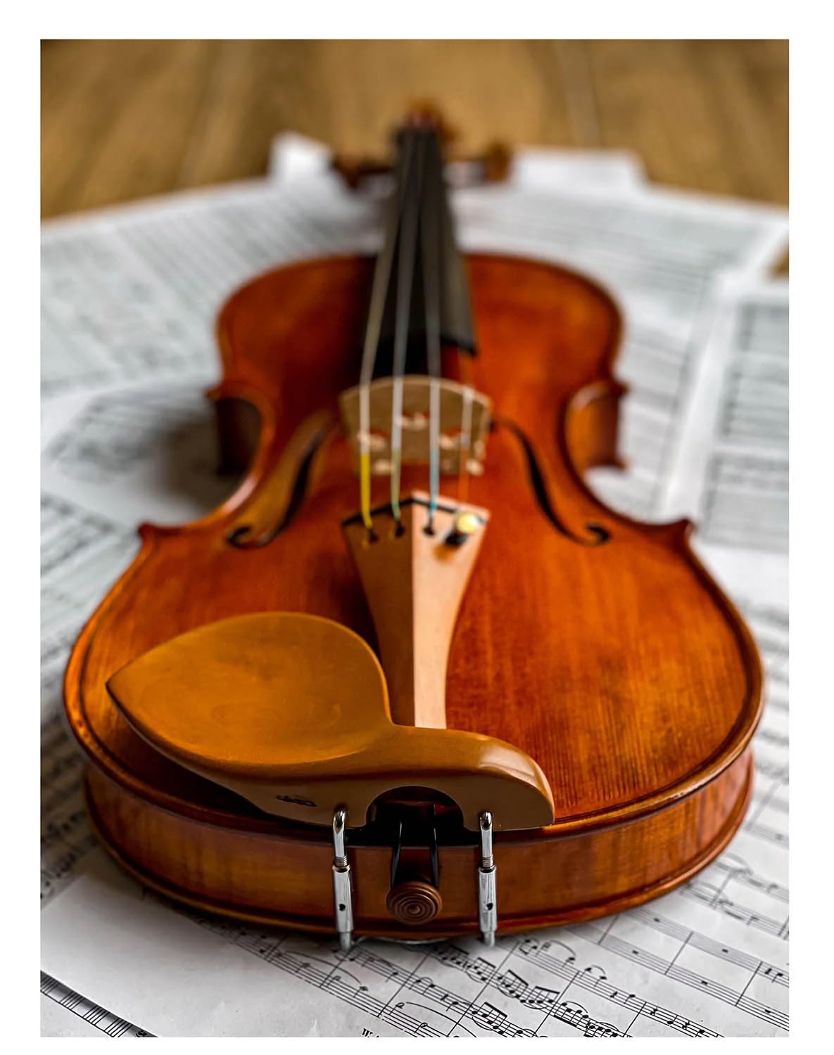 Conrad Gotz zk305 Chinrest Stradivari, de boj