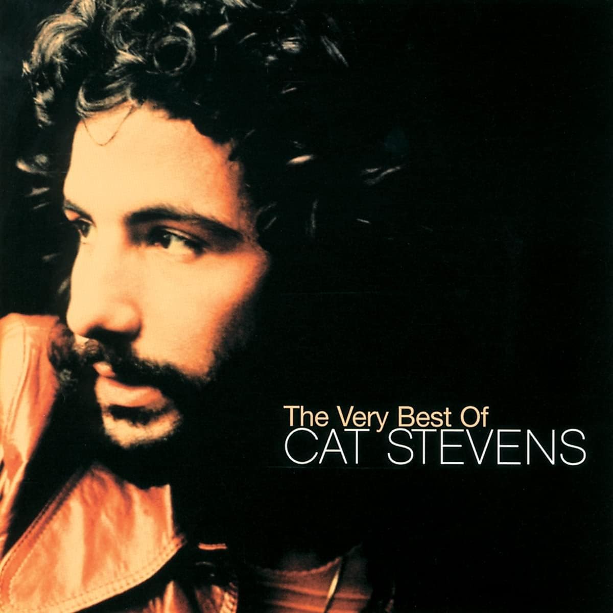 THE VERY BEST OF CAT STEVENS
