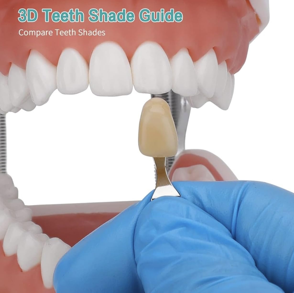 GUIDE DE TEINTE DENTAIRE - TEINTIER PROFESSIONNEL - BLANCHIMENT DENTAIRE