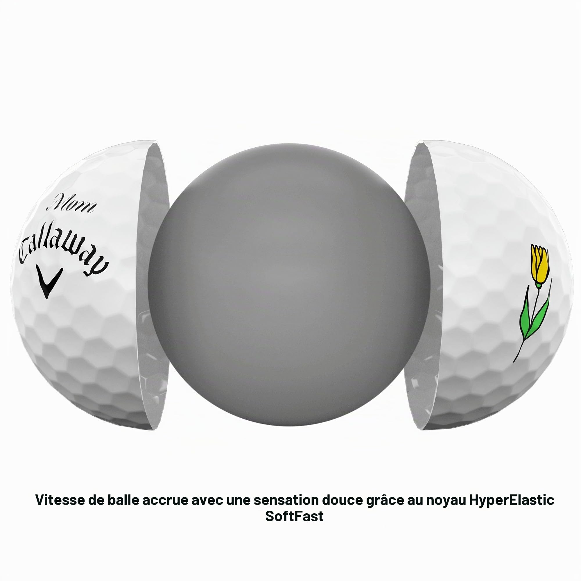 Vue 5