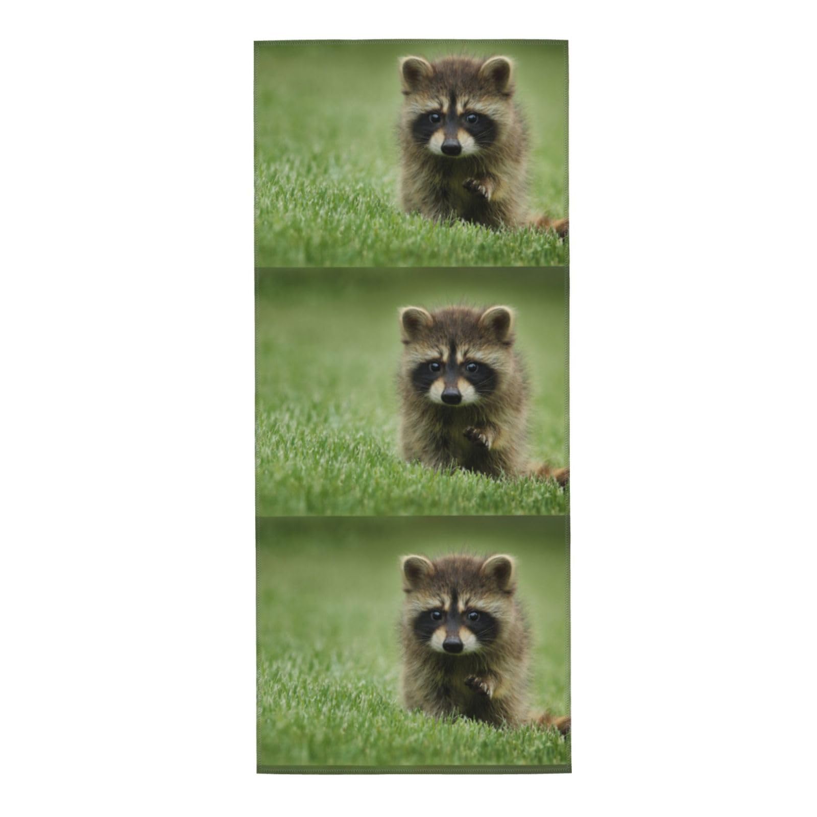 HUYGD Towel 30 x 70 cm,Hand Towel, Soft Bath hand towels for Kitchen Hotel Gym Laundry RoomCute Raccoon Fashion Printed