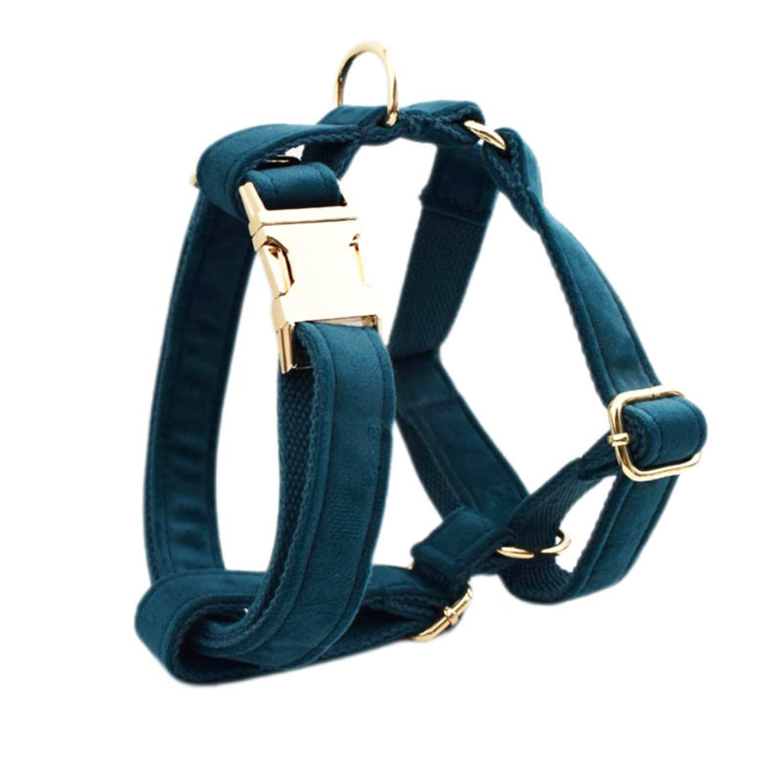 Piccolo Imbracatura Per Cani E Guinzaglio Imbracatura Da Cucciolo Regolabile Con Portata Di Cacca Anti-Twist Dog Guinzaglio Per Addestramento A Camminata Facile Correre