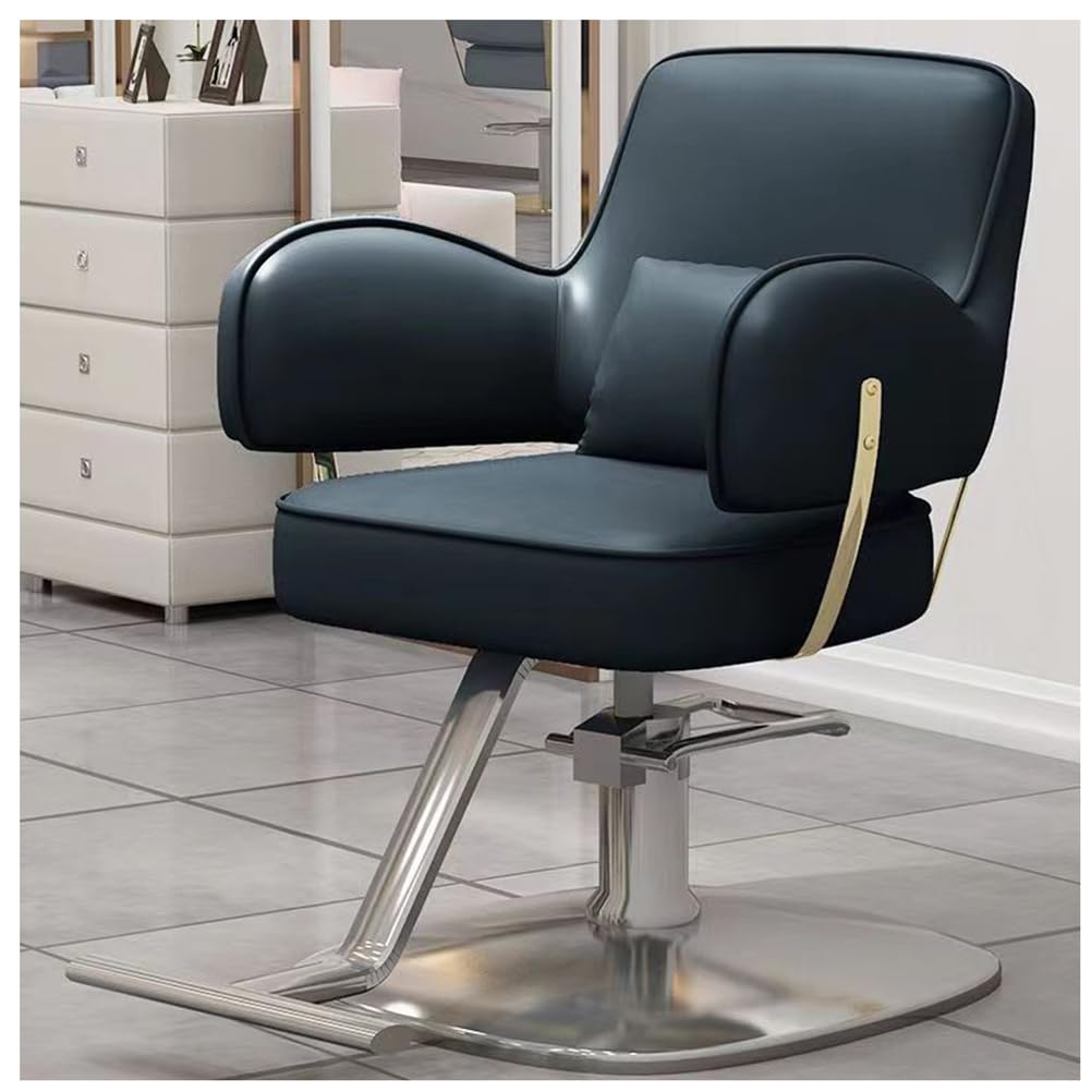 OZBMA Barber Chair,Salon Chair for Hair Stylist,Salon with Hydraulic Pump,360 Degree Swivel Stylist Chairs Footrest,Gray,D (Black B)