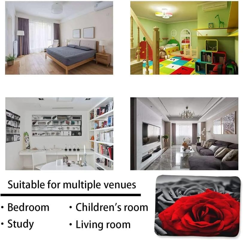 Large Farmhouse Rug for Decor,Romantic Rose Black and White red Painting Abstract Living Room Mat Bedroom Area Rugs Home Non-Slip Crystal Floor Polyester 40x60inch