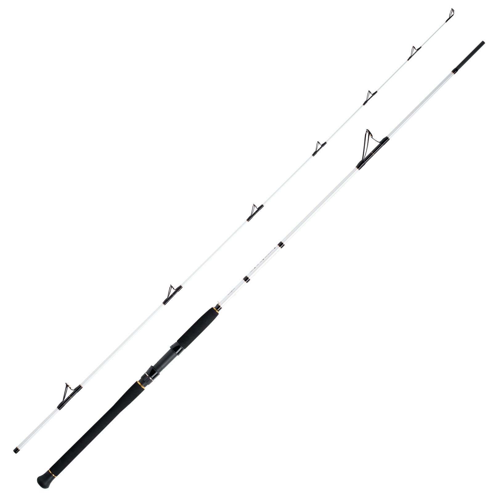 WFT Steckrute Salzmeister Köhler Jigger Länge 2,65m Wurfgewicht 25-120g