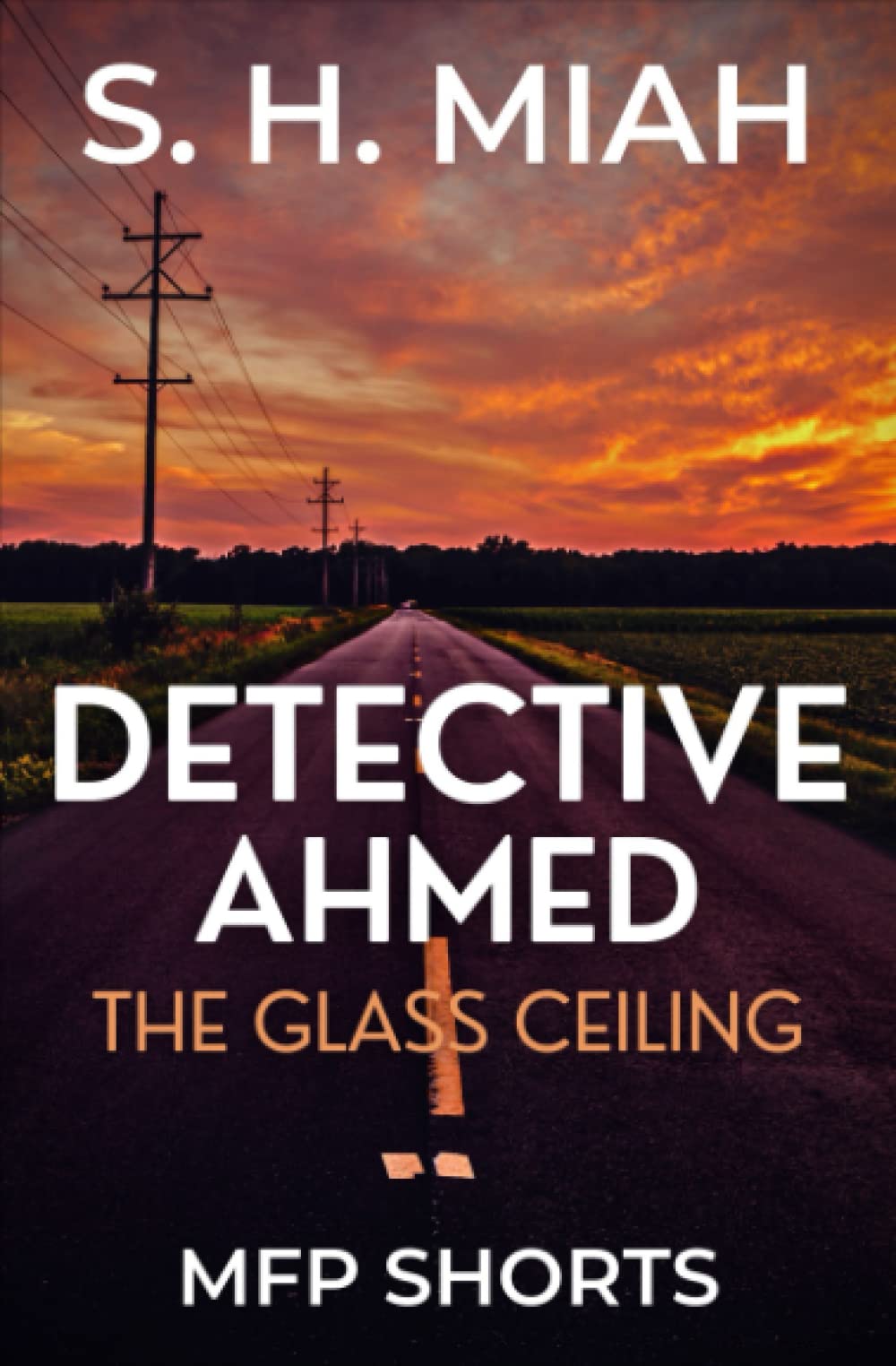 The Glass Ceiling: A Detective Ahmed Short Story (Private Detective Ahmed Mystery Short Stories)