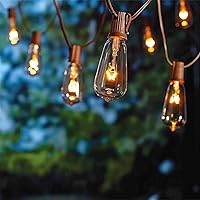 Vista 11 de SUNSGNE Cadena de luces para exteriores de 25 pies con 27 bombillas Edison (2 de repuesto), tira de luces ST35 conectables impermeables para patio