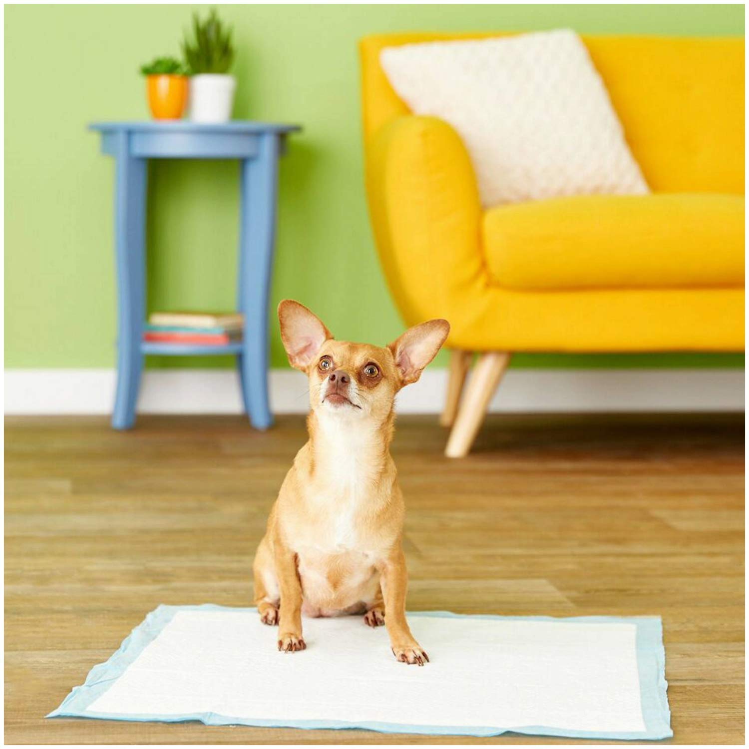 Four Paws Wee-Wee Almohadillas para perros, 22 x 23 pulgadas, 200 unidades, 2 unidades