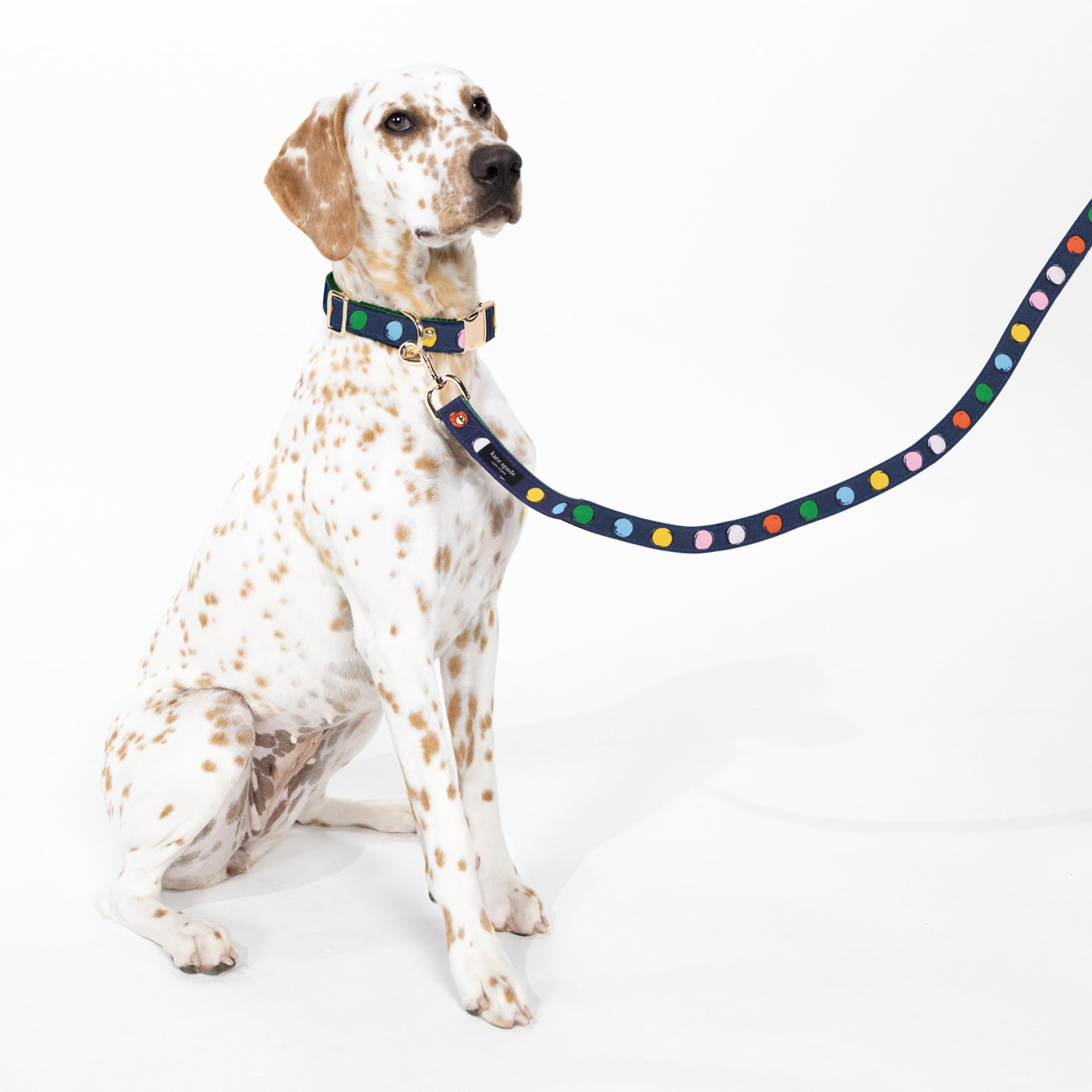 kate spade new york Correa de perro de 6 pies, correa resistente para perros hembras o machos, bonita correa para mascotas con herrajes de metal dorado, correa larga para perros medianos y grandes
