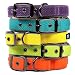Max and Neo Glacier Reflective Neoprene Metal Buckle Dog Collar - We Donate a Collar to a Dog Rescue for Every Collar Sold (LARGE, ORANGE)