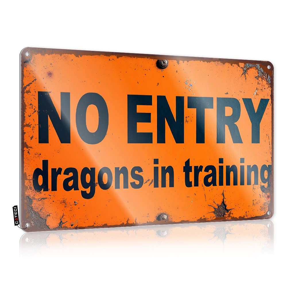 Fzfn Colour Wall Signs Reusable Trendy No Entrydragons In Training For Tavern - Country Decorations For Home Customizable(30X40cm)
