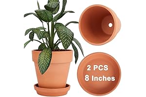 Vensovo 8 Inch Clay Indoor Plant Pot with Saucer
