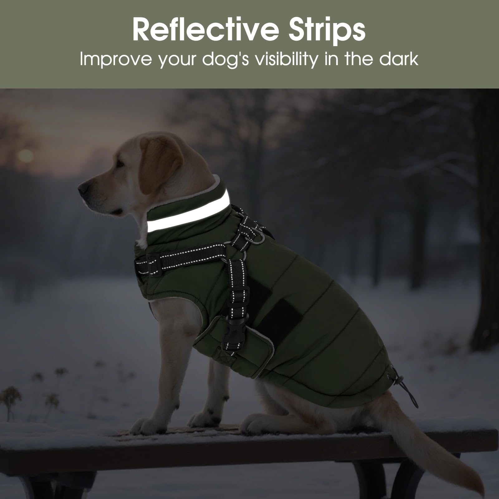 ASENKU Manteau Imperméable pour Chien d'hiver, Manteau pour Petit Chien avec Harnais Veste de Pluie Réfléchissante Coupe-Vent et Chaude pour Chiens pour l'hiver pour Petits, Moyens et Grands Chiens XL