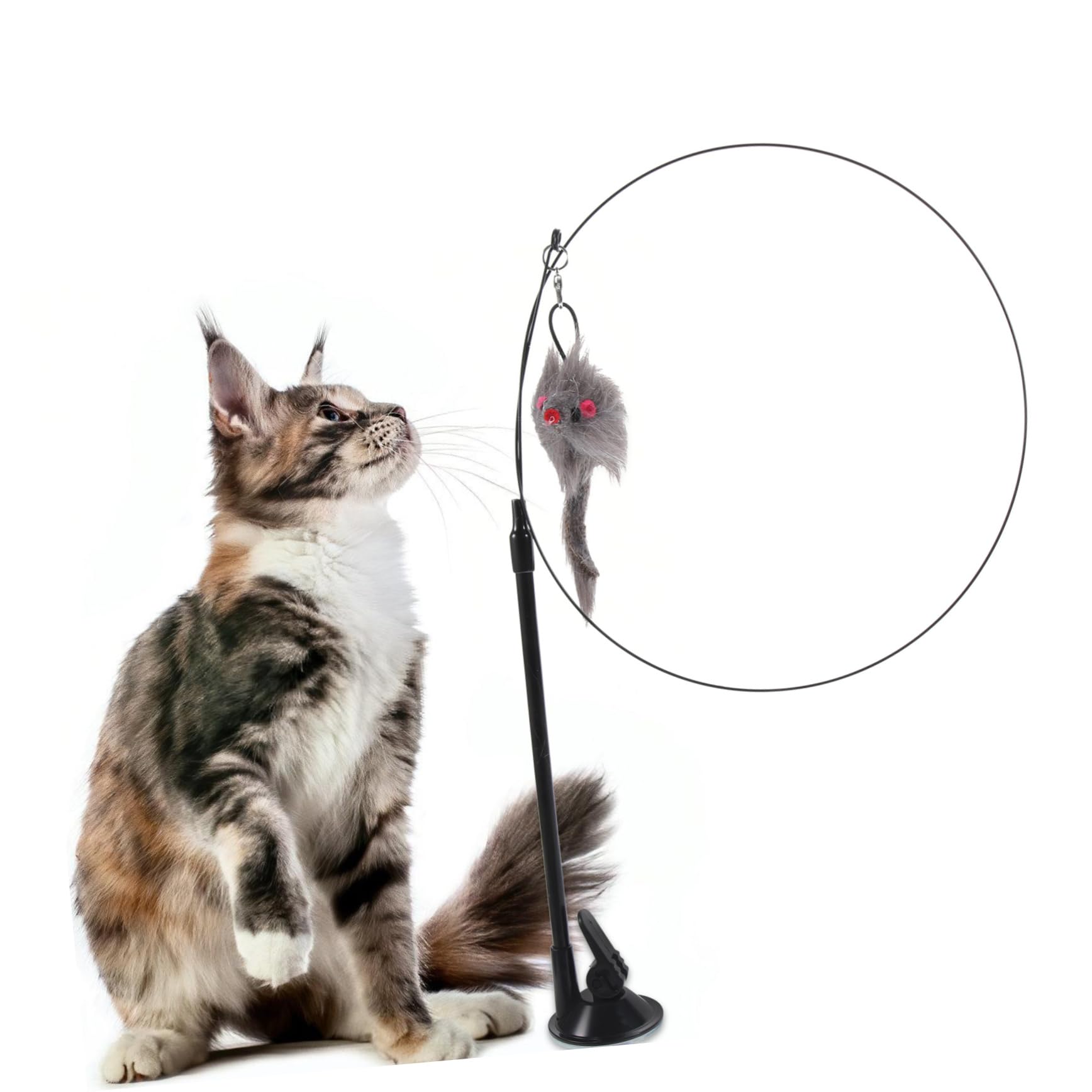 Happyyami Jouet Interactif pour Chat avec Ventouse Canne De Amusante pour Renforcer Le Lien avec Votre Animal Et Instincts De Chasse