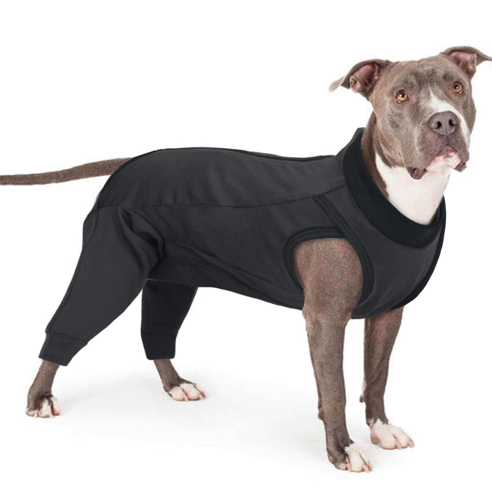 PUMYPOREITY Traje Recuperación para Perros, Body Perro Post Cirugía Hembra Traje Recuperacion Quirurgica Perro Camisa de Recuperación Anti Lamiendo Perros Protector Después de La Cirugía(Gris, L)