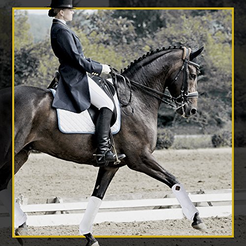 Kavallerie PRO-K Support Boots for Horses - Maximum Protection & Rehabilitation from Injuries & Strains of Flexor Tendon Region for Training, Jumping, Riding, Eventing White