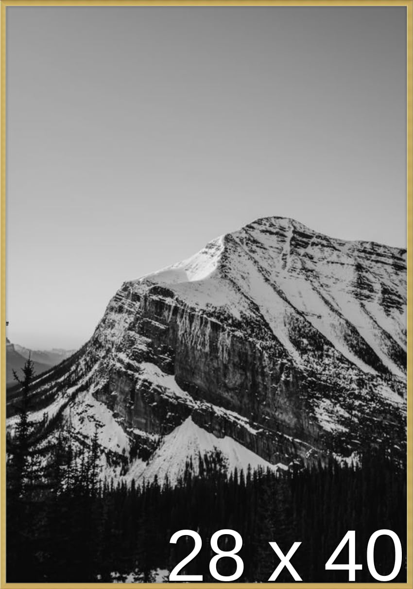 Amazon.co.jp: 28 x 40ポスターフレーム – プロファイル: # 93カスタム