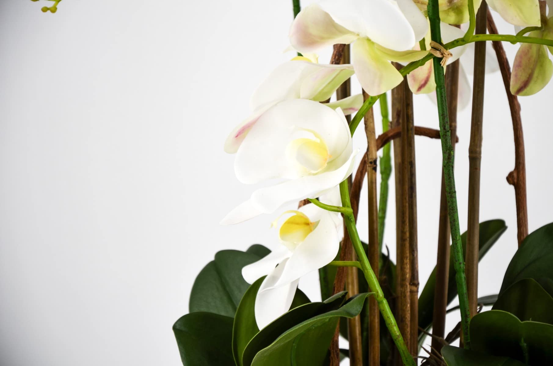 PHALAENOPSIS Orchidea Artificiale 100CM con Vaso Ovale Bianca Fiori Piante Artificiali