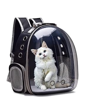 Astronaut Space Transparent Capsule Air Breathable Airline Approved Transparent Carrier Backpack with Nylon Collor for Travel, Hiking and Outdoor for Puppies & Cats (Black)