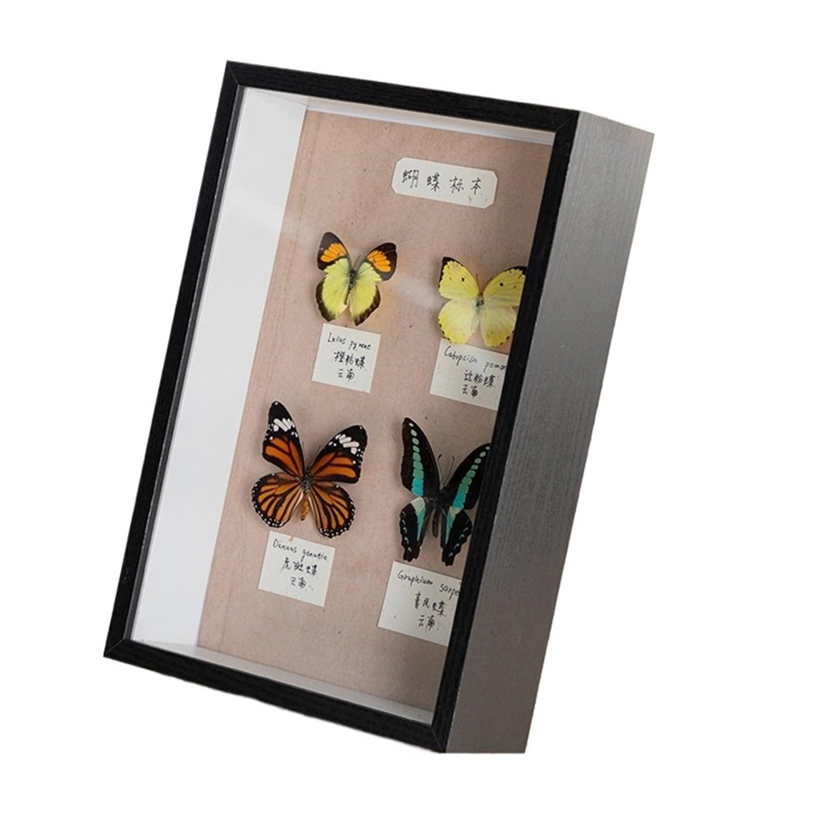 2PCS 3D Photo Frame Depth 5cm Shadow Box Dried Flower Shells Specimen Handmade DIY Crafts Display Picture Home Decor Wall for Tabletop and Wall(Color 4,7in)