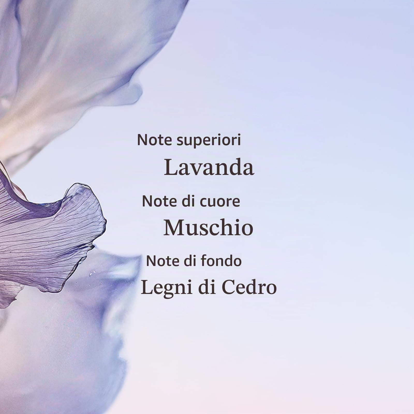 L'OCCITANE - Eau de Toilette Lavande Blanche (Lavanda Bianca) - 50 ml