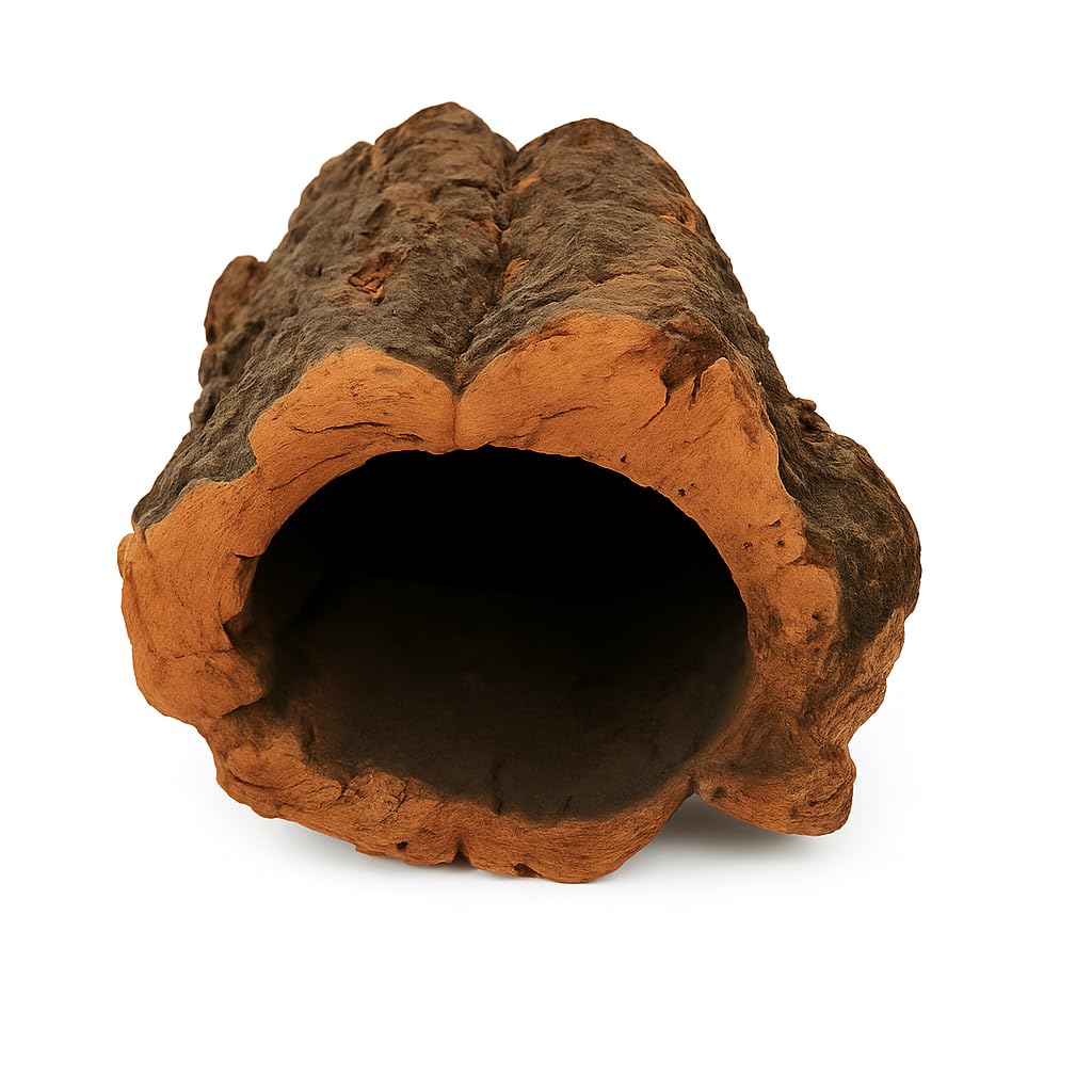 Korkröhre SAHAWA Baumstammtunnel øca.10-15 cm Länge ca. 25-30 cm für Nager und Exoten… braun