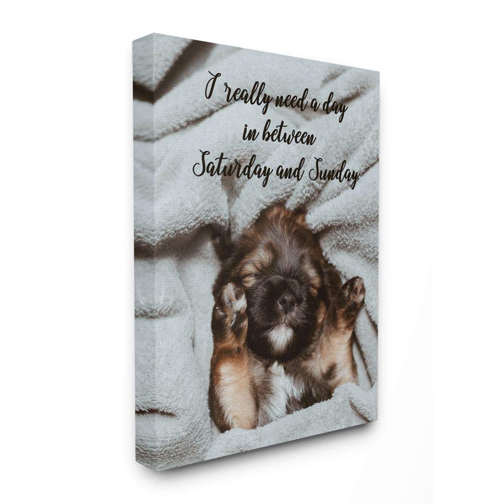Stupell Industries Three Day Weekend Phrase Funny Puppy Pet Humor Designed by Ziwei Li Wall Art 24 x