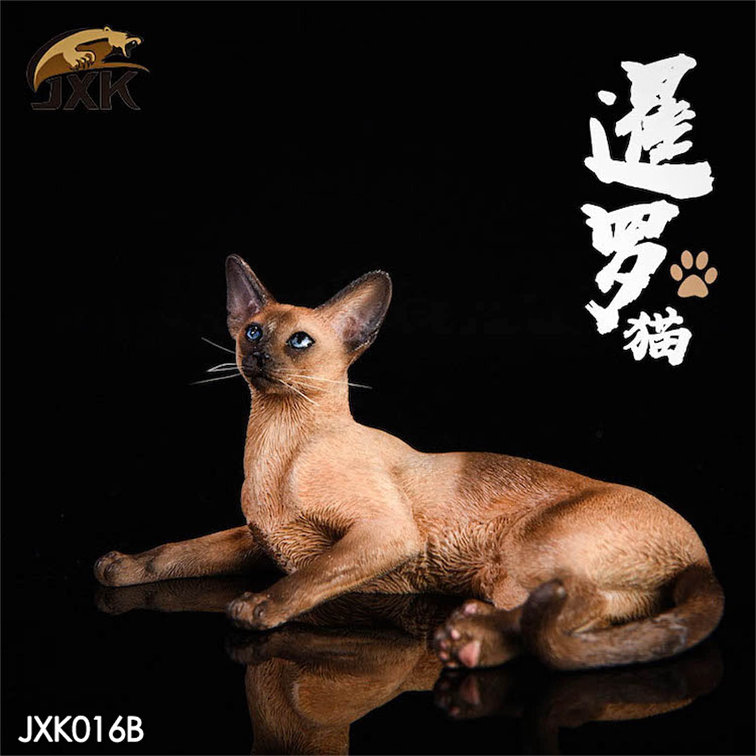 Amazon | JXK 1/6 サイズ シャム サイアミーズ 可愛い ペット 猫