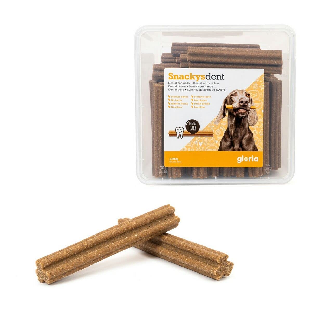 GLORIA Dental-Stick, 1800 g