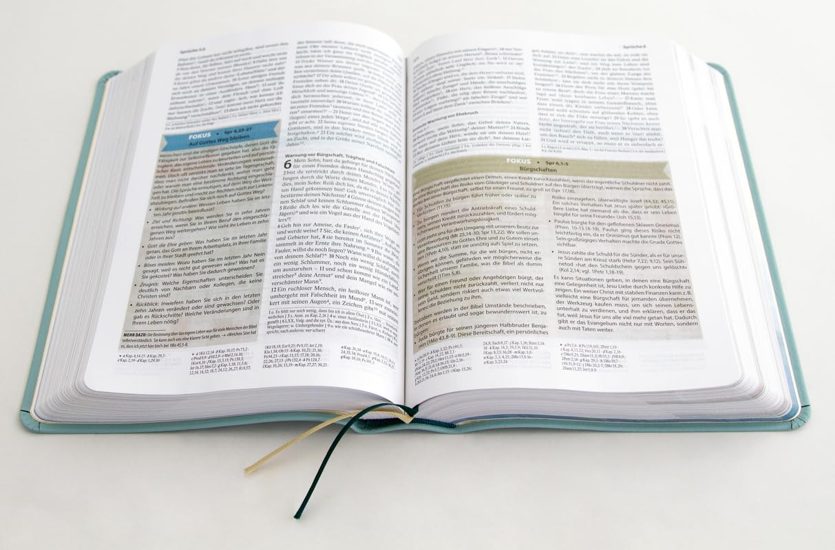 Sein Wort - meine Welt. Lederausgabe: Die Studienbibel für das 21. Jahrhundert (Elberfelder Bibel)