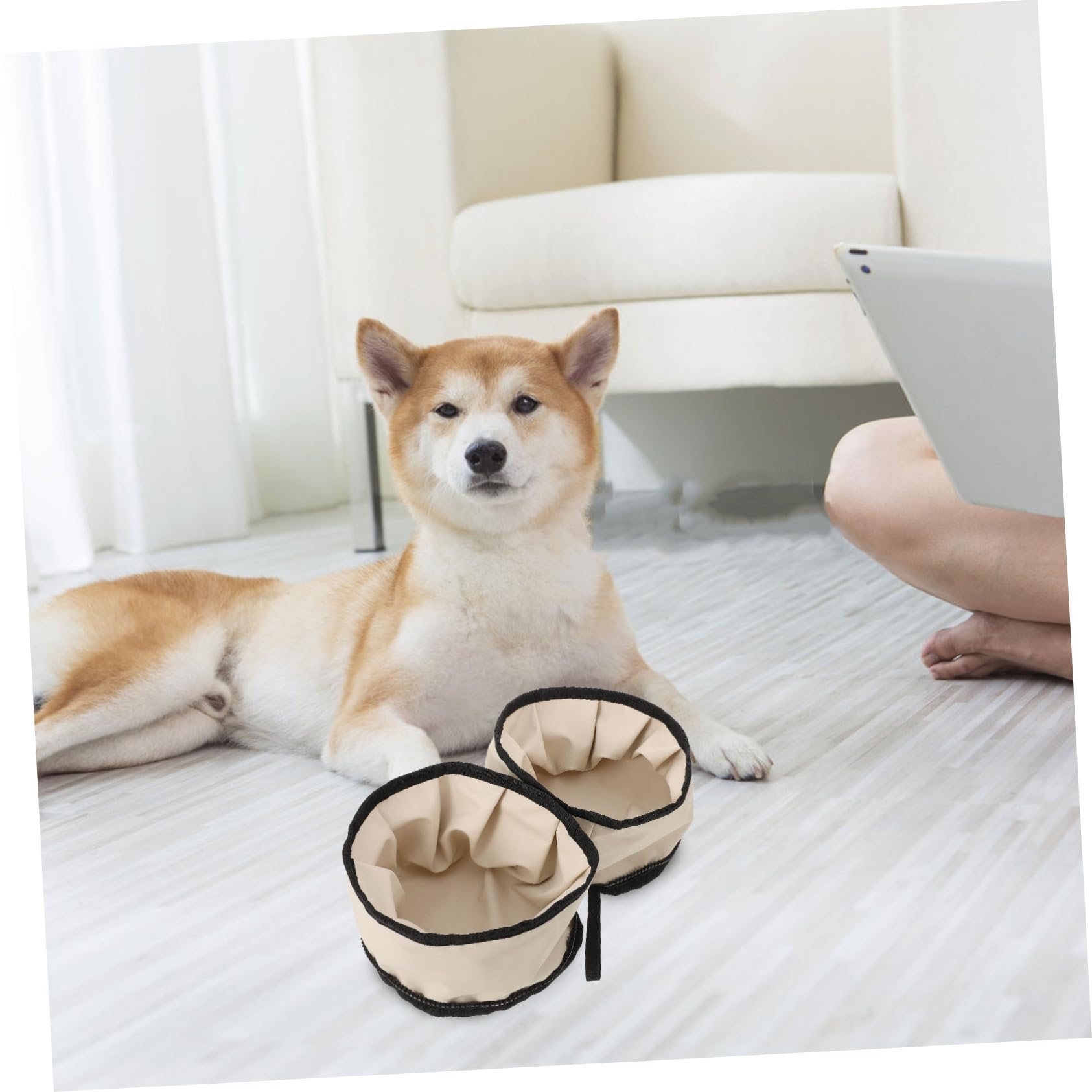 BUGUUYO Foldable Lightweight Dog Bowl Portable Zipper Travel Pet Dish for Dogs and Cats for Hiking Camping and Outdoor Adventures Height
