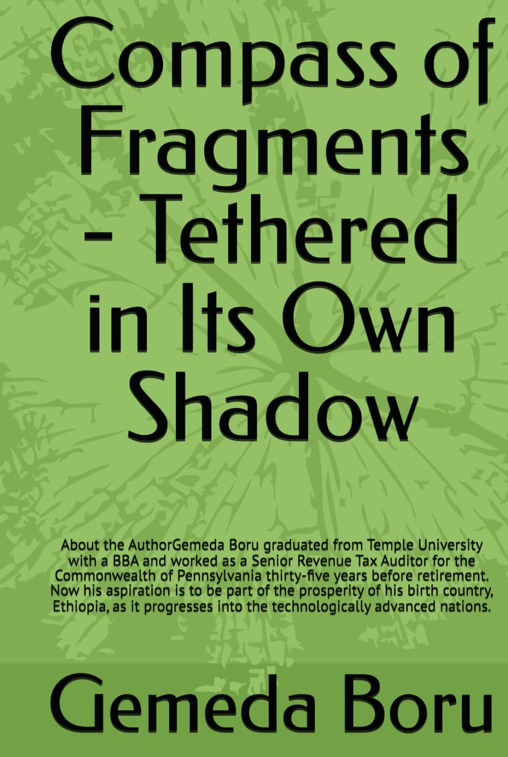Compass of Fragments - Tethered in Its Own Shadow