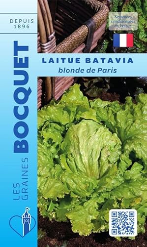 Sachet de graines de Laitue batavia blonde de Paris - 4 g - légume feuille - LES GRAINES BOCQUET