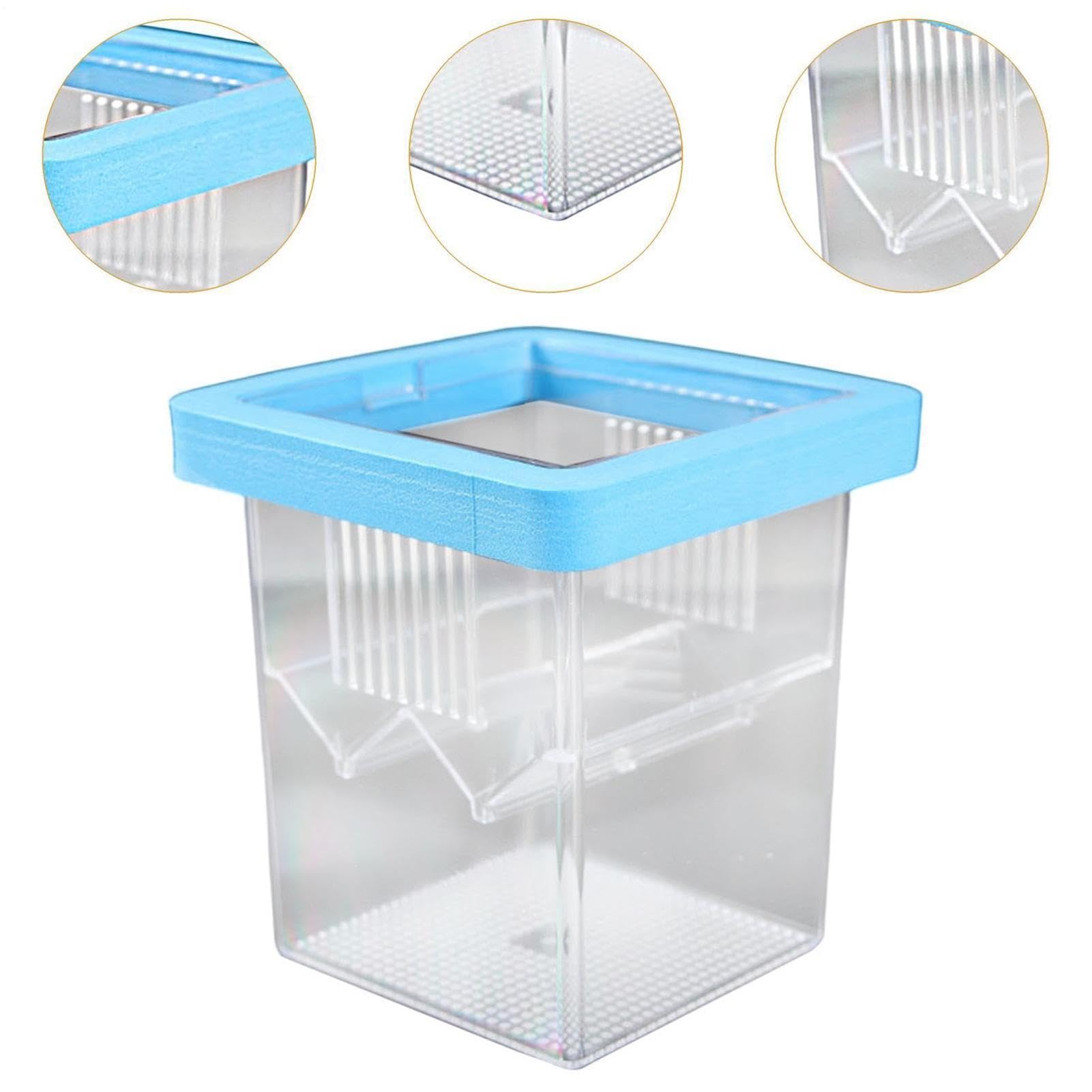 de Cría para Acuario,Incubadora Flotante pequeña acrílica para eclosión,Criadero de Peces - para Incubación Cuarentena Criadero Guppy Camarón Tortuga Agua Marina Hogar Oficina