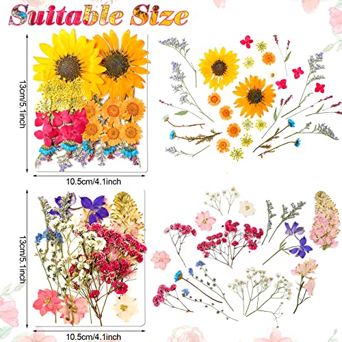 Funtery 111 piezas flores prensadas secas para manualidades miniatura 3