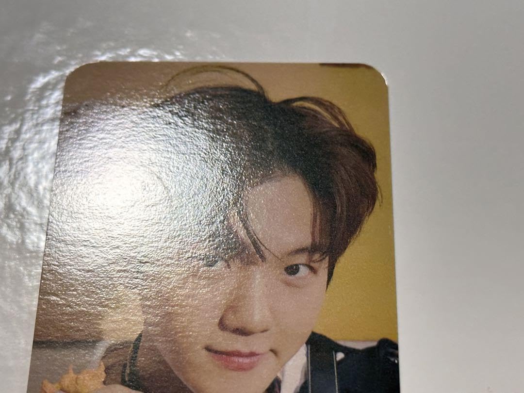 EXO - EXO don&#39;t fight the feeling ベッキョン トレカ EXO Don't Fight the Feeling Official Photocard Baekhyun D.O