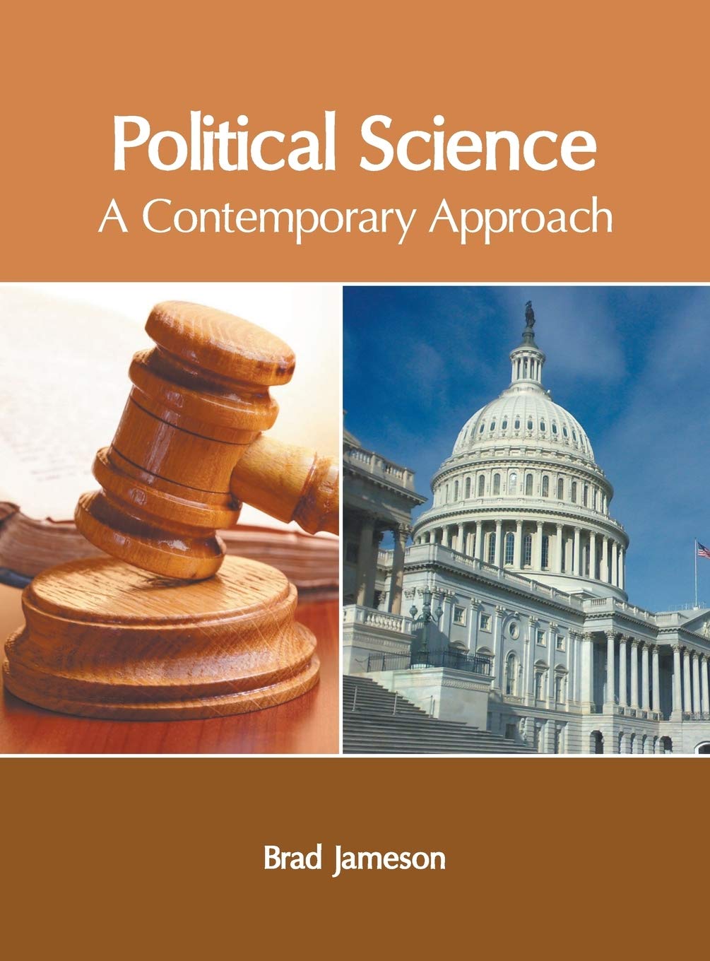 Political Science: A Contemporary Approach