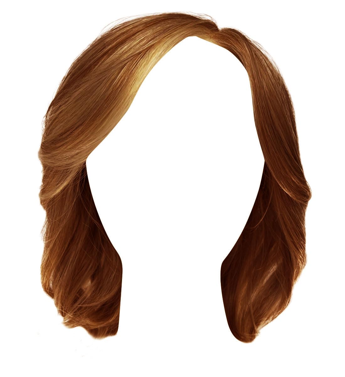 Photo 1 of Raquel Welch Love Always Bob Wig